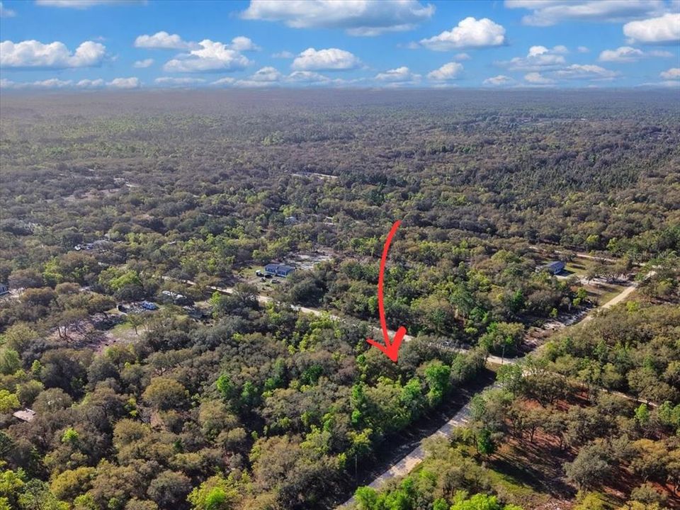 На продажу: $40,000 (1.25 acres)