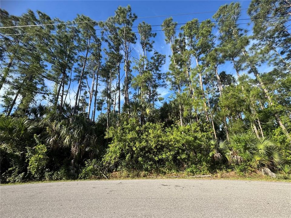 For Sale: $89,000 (1.02 acres)