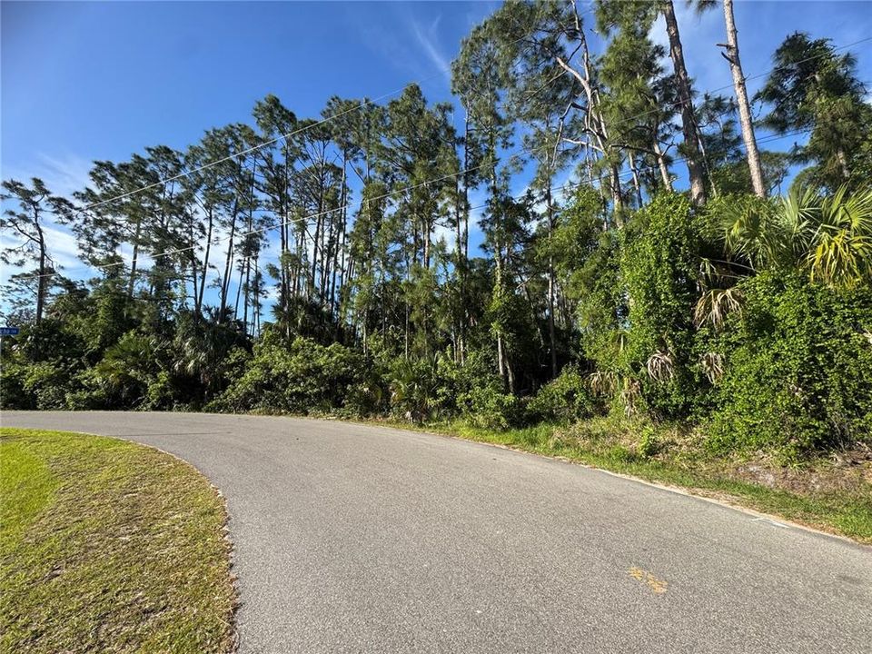 For Sale: $89,000 (1.02 acres)