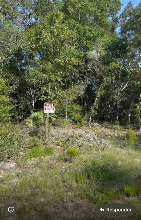 For Sale: $25,000 (1.25 acres)