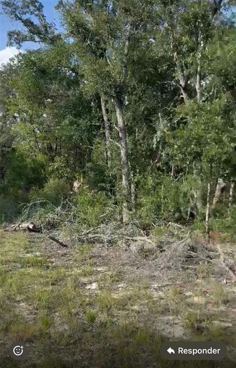 For Sale: $25,000 (1.25 acres)