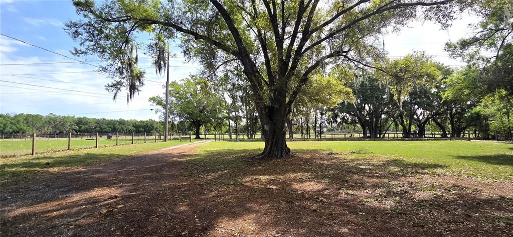 Activo con contrato: $315,000 (5 camas, 2 baños, 2604 Pies cuadrados)