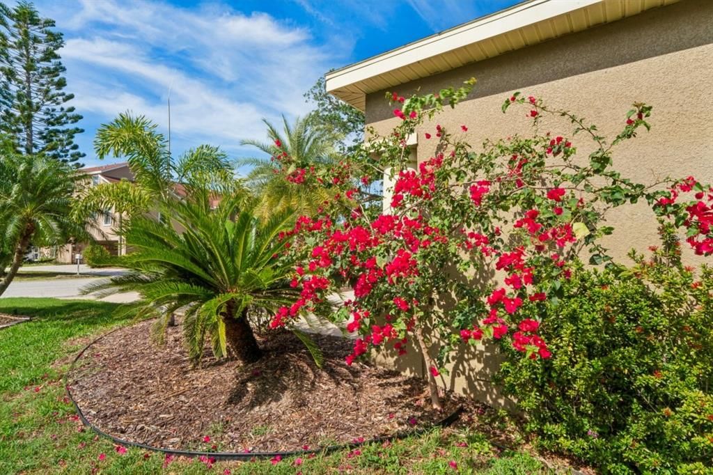 En Venta: $489,000 (3 camas, 2 baños, 2024 Pies cuadrados)