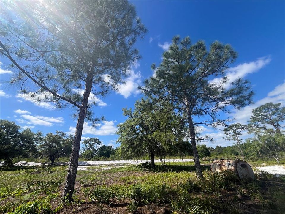 Recently Sold: $70,000 (3.11 acres)
