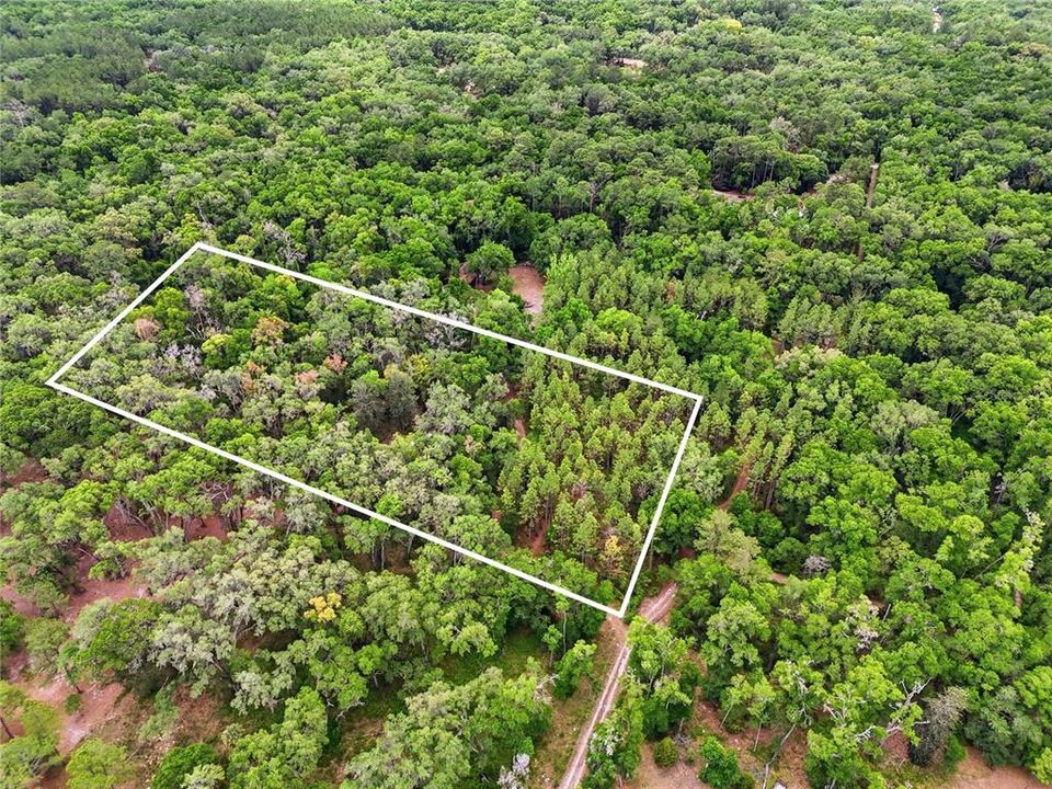 En Venta: $175,000 (5.00 acres)