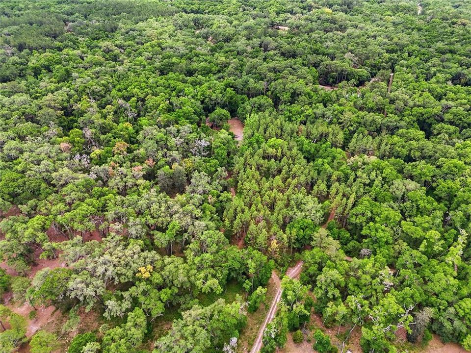 En Venta: $175,000 (5.00 acres)