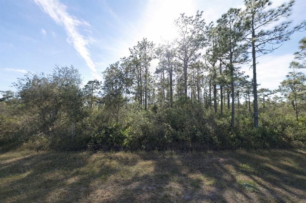 For Sale: $15,000 (0.50 acres)