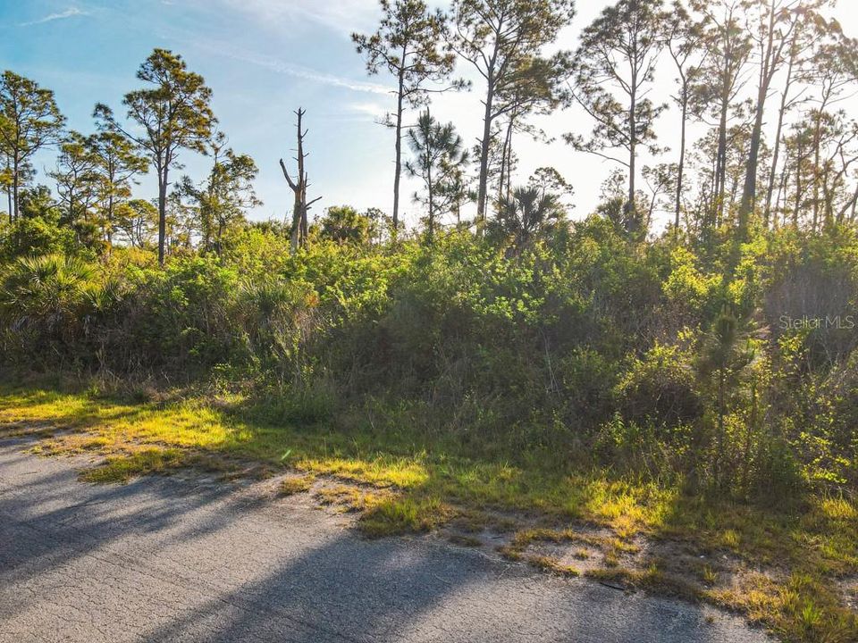 En Venta: $9,999 (0.23 acres)