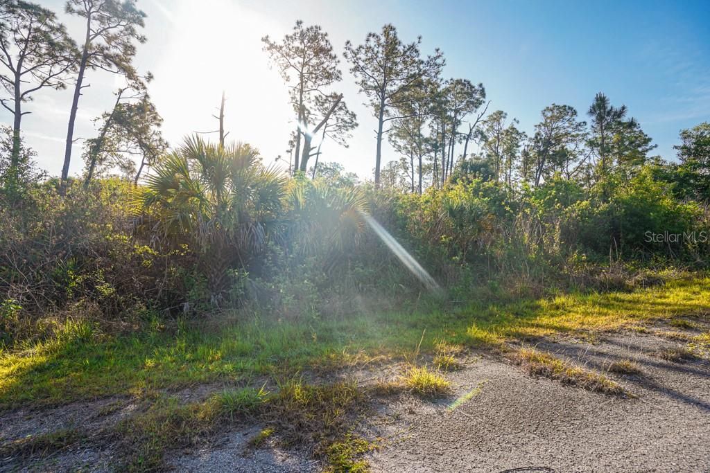 En Venta: $9,999 (0.23 acres)