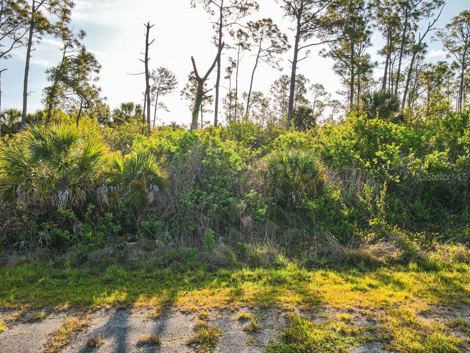 En Venta: $9,999 (0.23 acres)