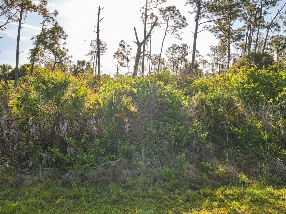 En Venta: $9,999 (0.23 acres)