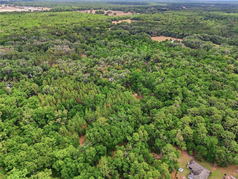На продажу: $175,000 (4.99 acres)