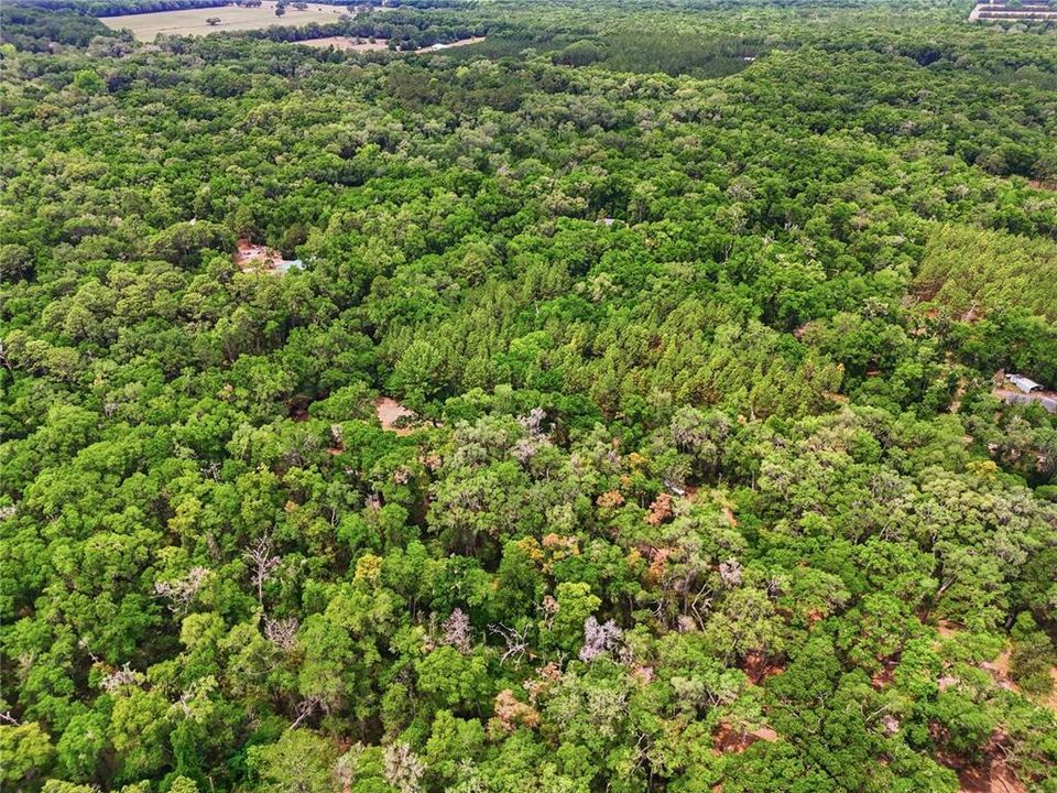 На продажу: $175,000 (4.99 acres)