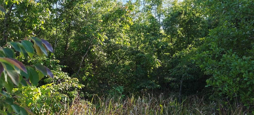 Под контрактом: $180,000 (5.02 acres)