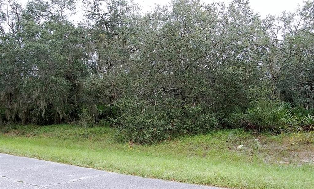 待售: $45,000 (0.19 acres)