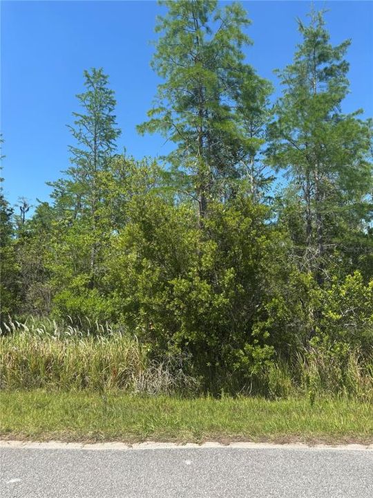 待售: $140,000 (1.85 acres)