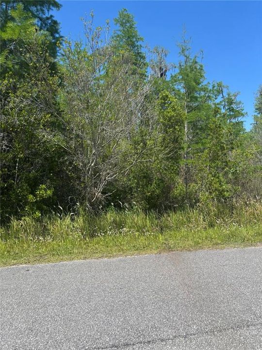 待售: $140,000 (1.85 acres)