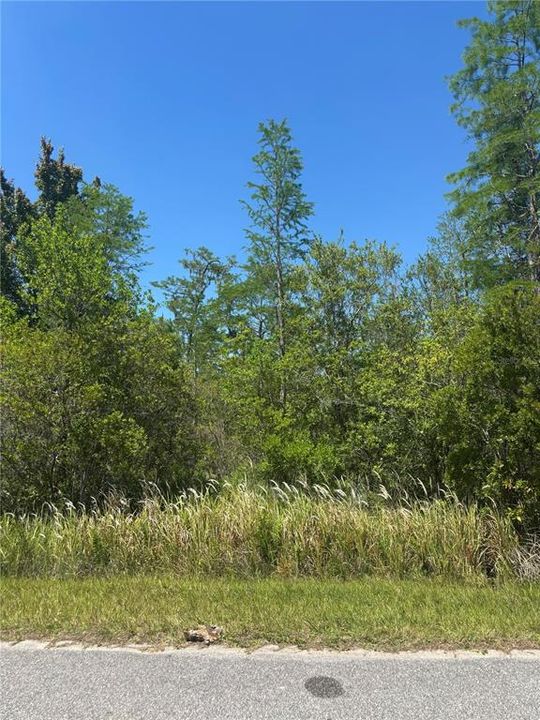 待售: $140,000 (1.85 acres)