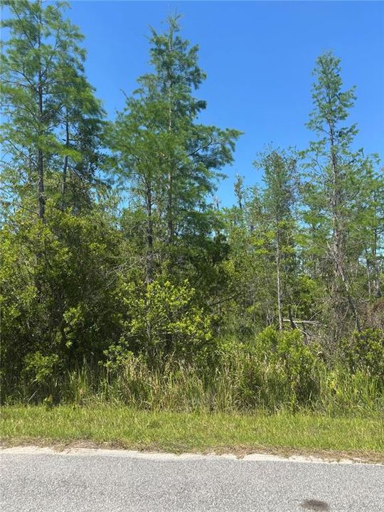待售: $140,000 (1.85 acres)