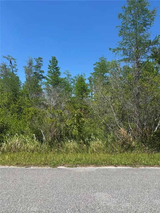待售: $140,000 (1.85 acres)
