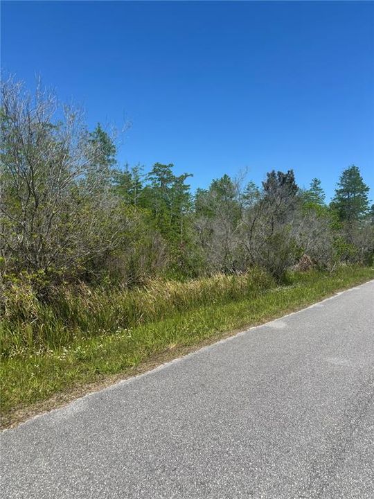 待售: $140,000 (1.85 acres)