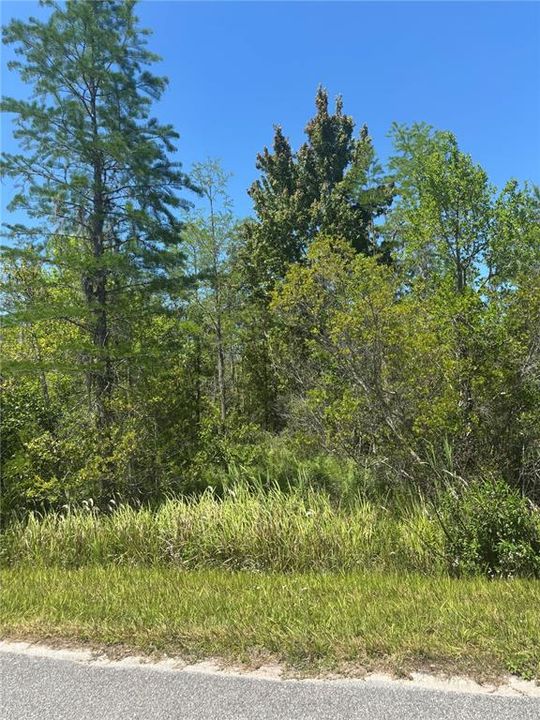待售: $140,000 (1.85 acres)
