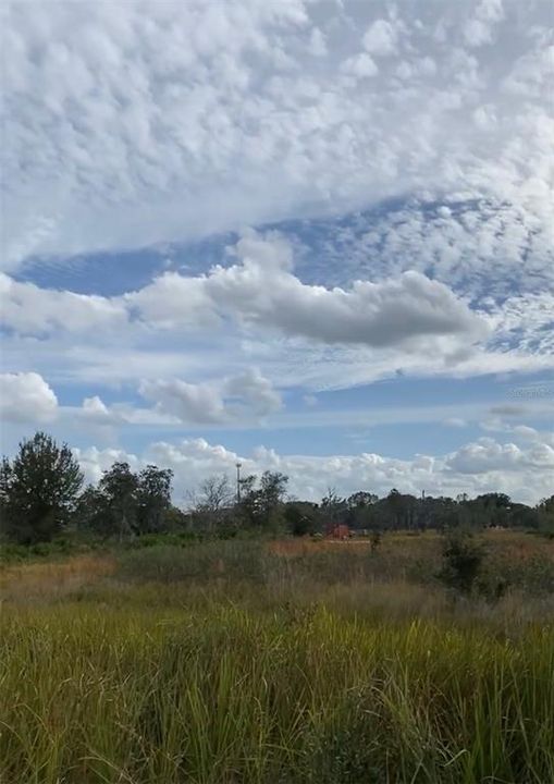For Sale: $45,000 (1.16 acres)