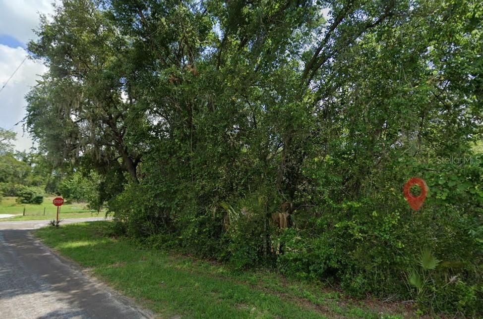 For Sale: $46,000 (0.99 acres)