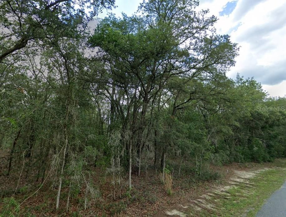 For Sale: $49,500 (1.01 acres)