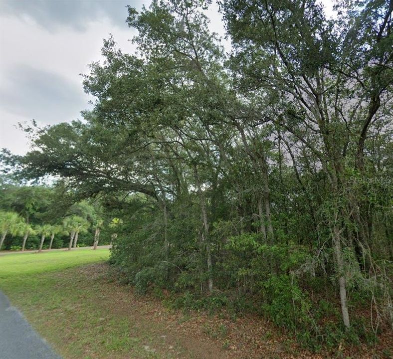 For Sale: $49,500 (1.01 acres)