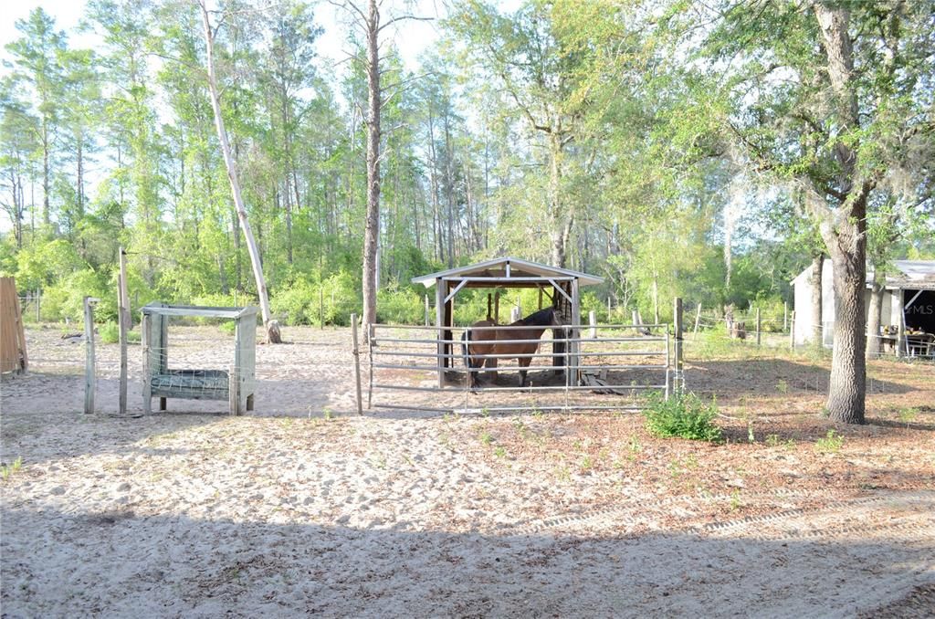 На продажу: $415,000 (3 спален, 2 ванн, 1109 Квадратных фут)