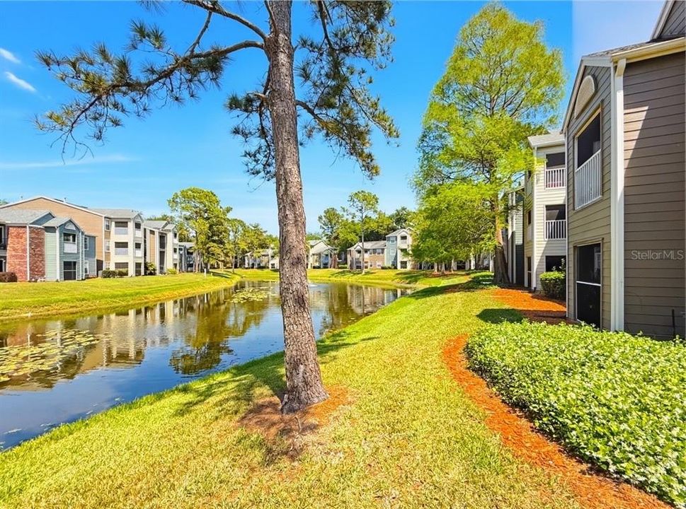 Active With Contract: $169,900 (2 beds, 2 baths, 874 Square Feet)