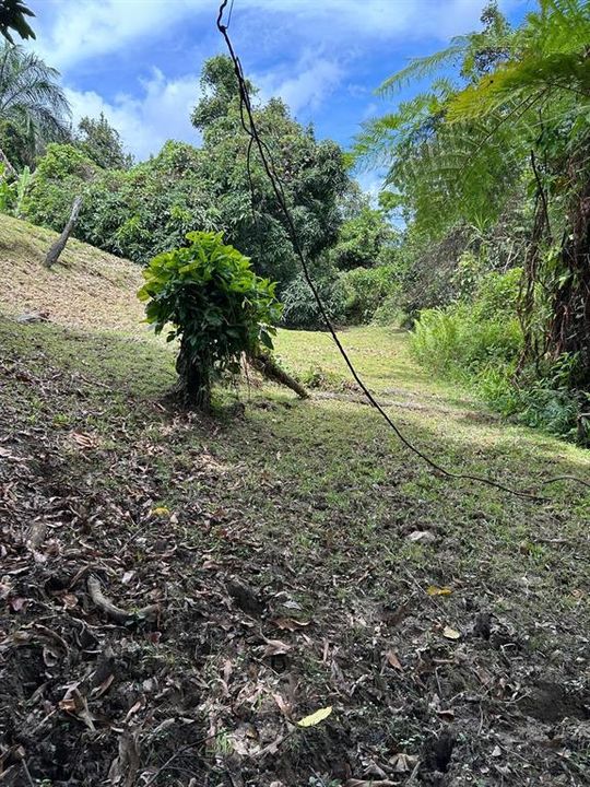 En Venta: $240,000 (4.38 acres)