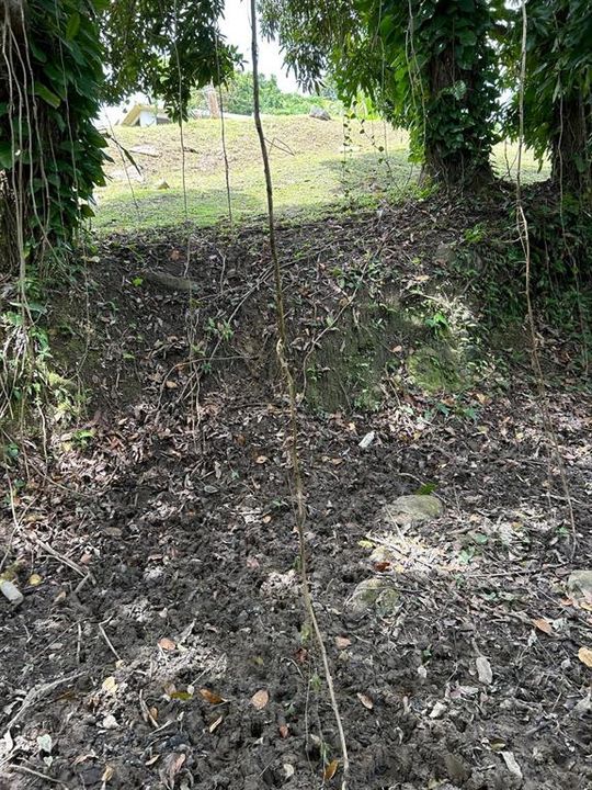 En Venta: $240,000 (4.38 acres)