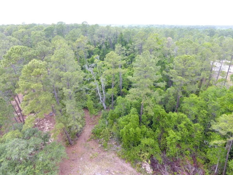 For Sale: $120,000 (9.62 acres)