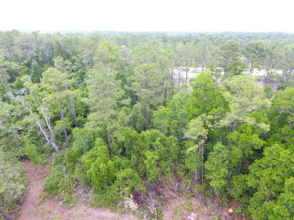 For Sale: $120,000 (9.62 acres)