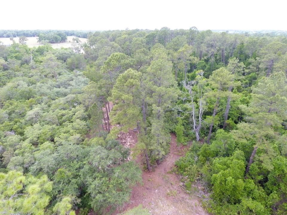 待售: $140,000 (9.63 acres)