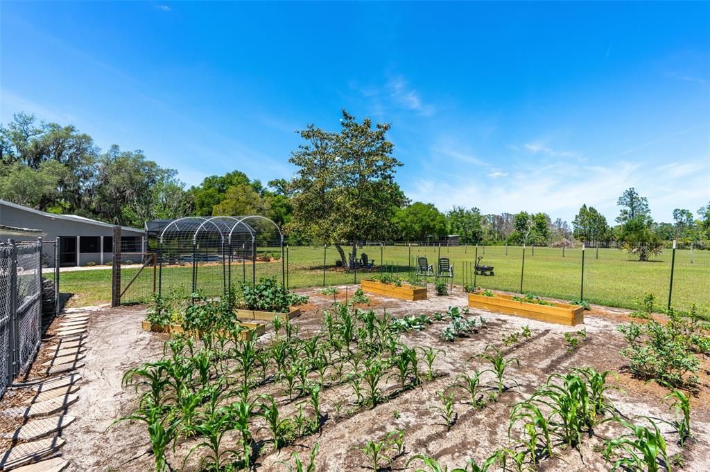For Sale: $1,300,000 (4 beds, 3 baths, 3072 Square Feet)