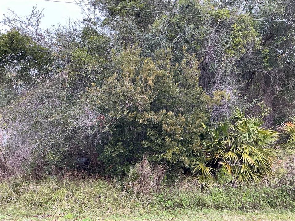 En Venta: $82,900 (0.27 acres)