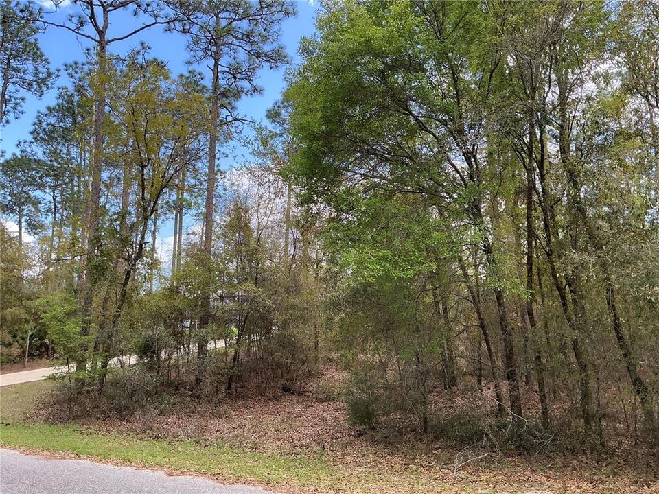 Active With Contract: $55,000 (1.08 acres)