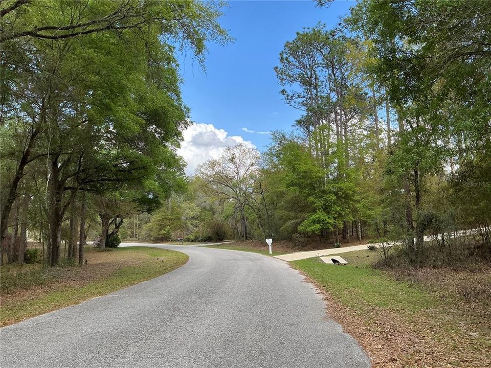 Active With Contract: $55,000 (1.08 acres)