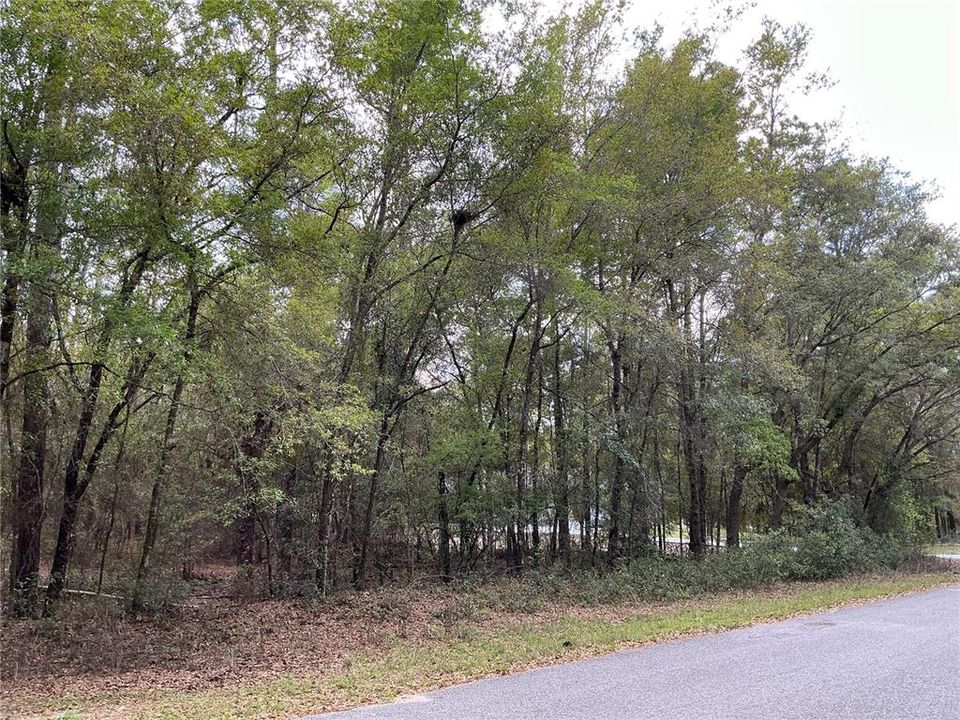 Active With Contract: $55,000 (1.08 acres)