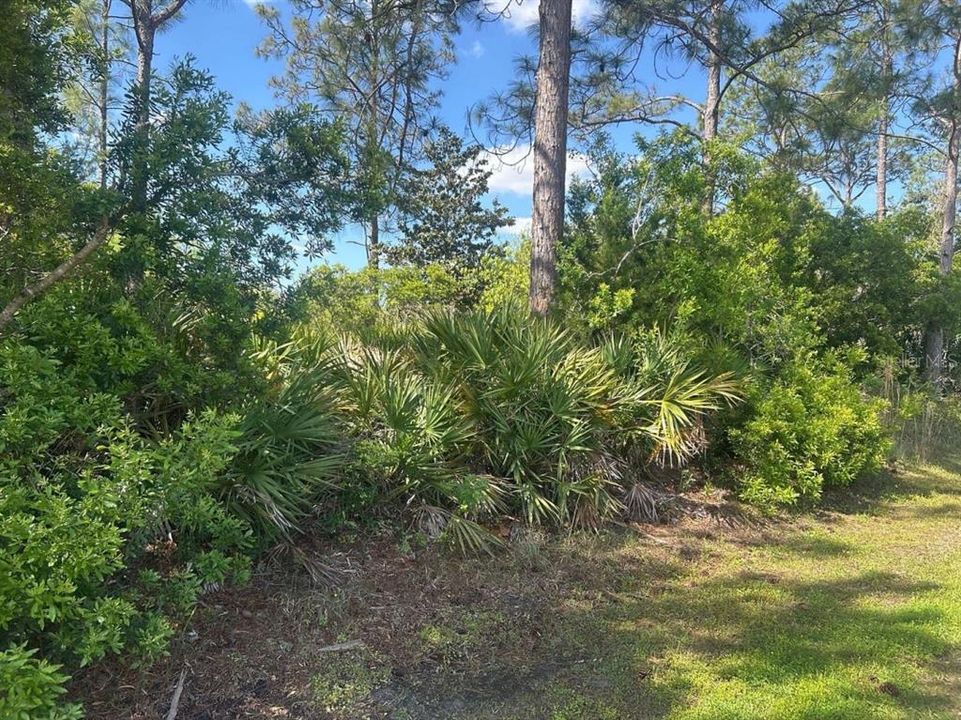 For Sale: $152,916 (0.24 acres)