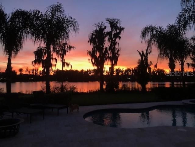 For Sale: $2,070,000 (5 beds, 4 baths, 4769 Square Feet)