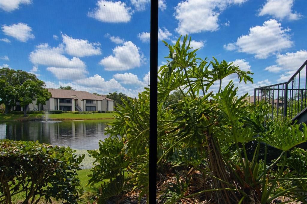 Active With Contract: $1,500 (1 beds, 1 baths, 753 Square Feet)