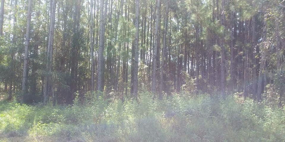 На продажу: $85,000 (1.43 acres)