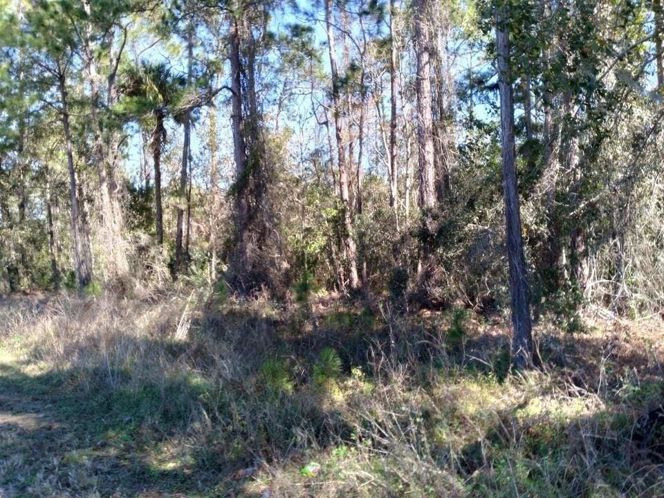 En Venta: $65,000 (1.43 acres)