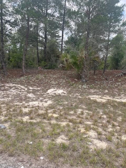 For Sale: $25,000 (0.19 acres)