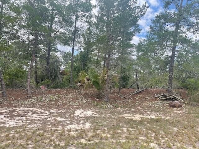 For Sale: $25,000 (0.19 acres)