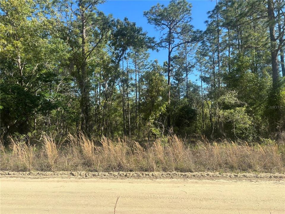 En Venta: $25,000 (0.50 acres)
